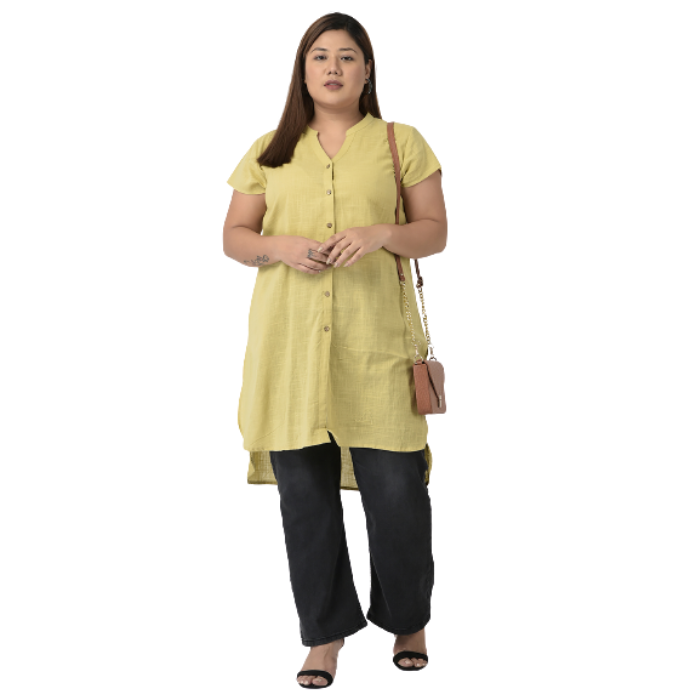 Women Plus size Beige Kurta